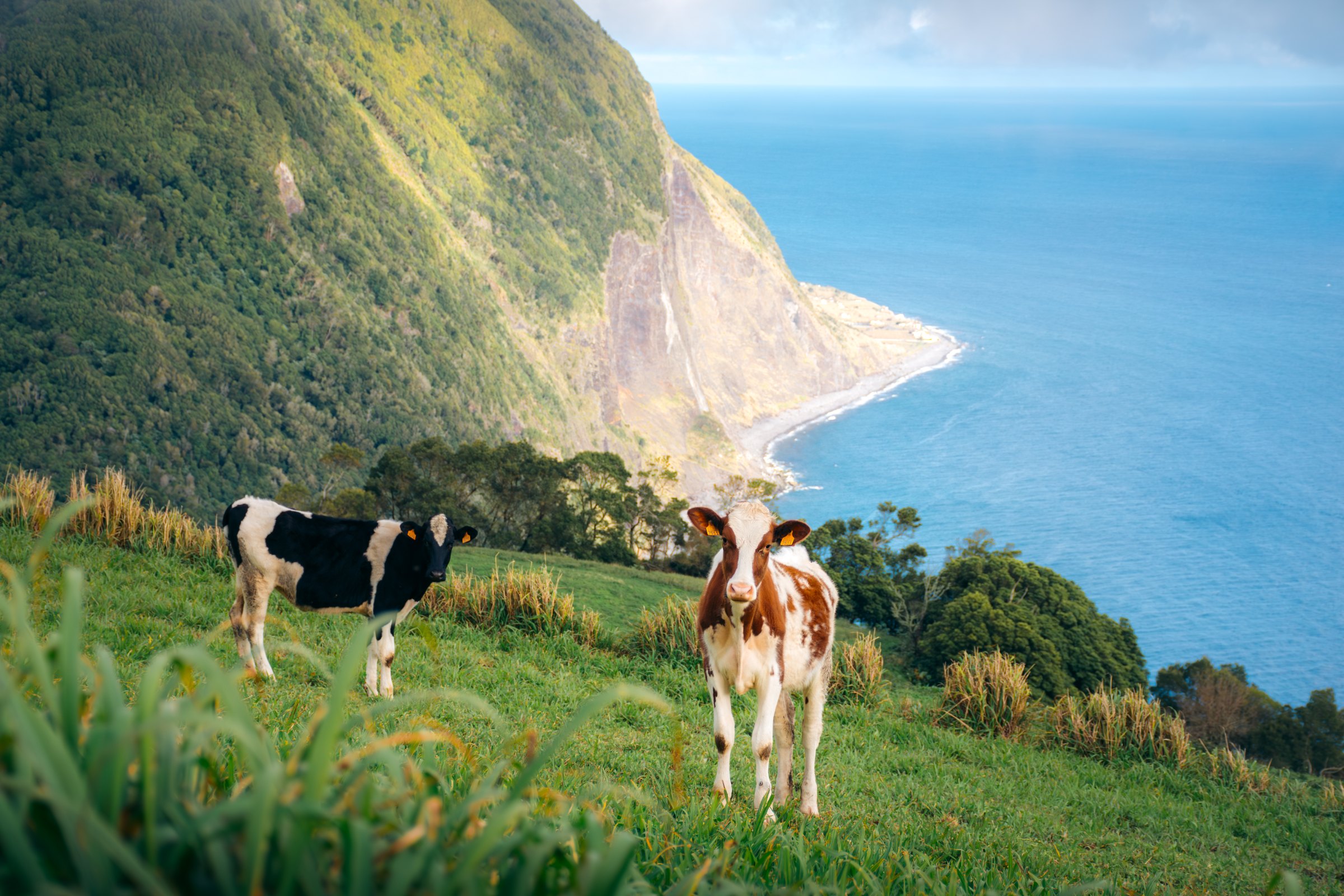 Azores — Azores