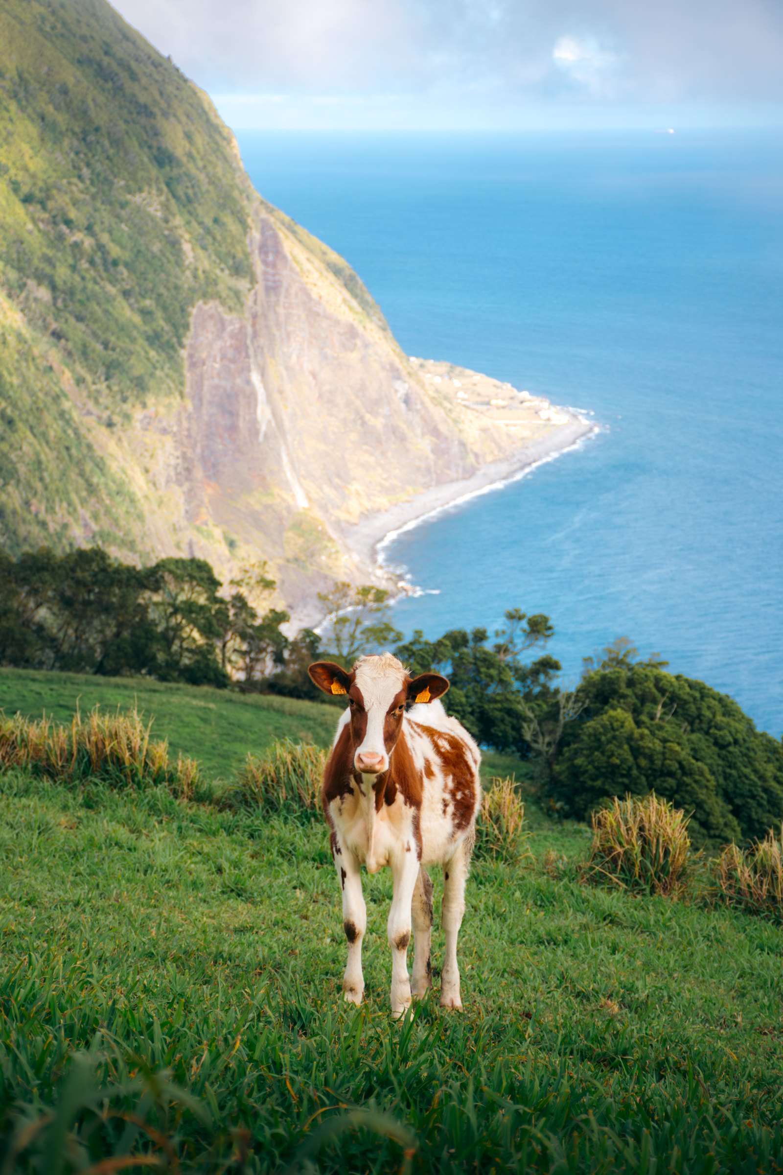 Azores — Azores