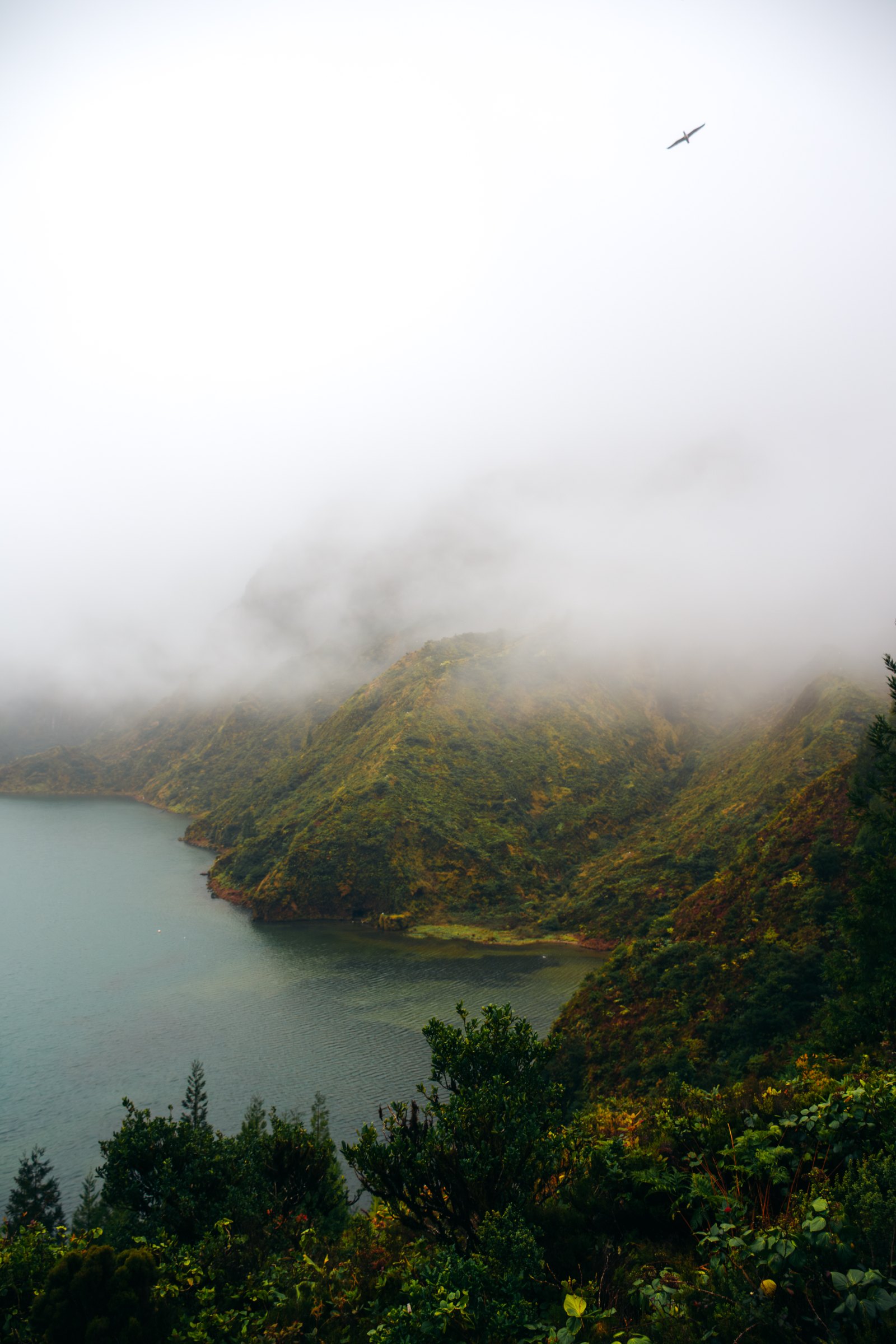 Azores — Azores
