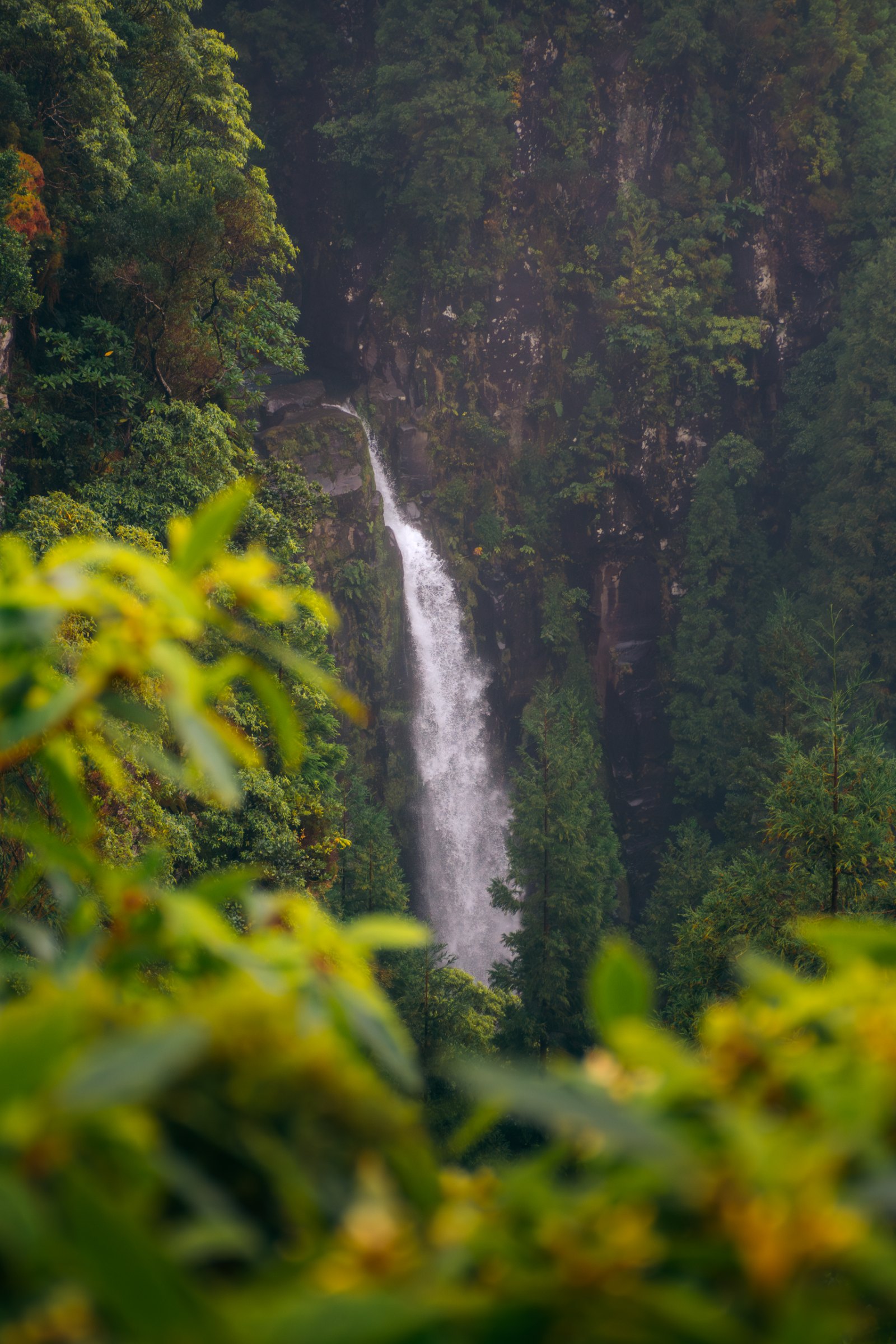 Azores — Azores