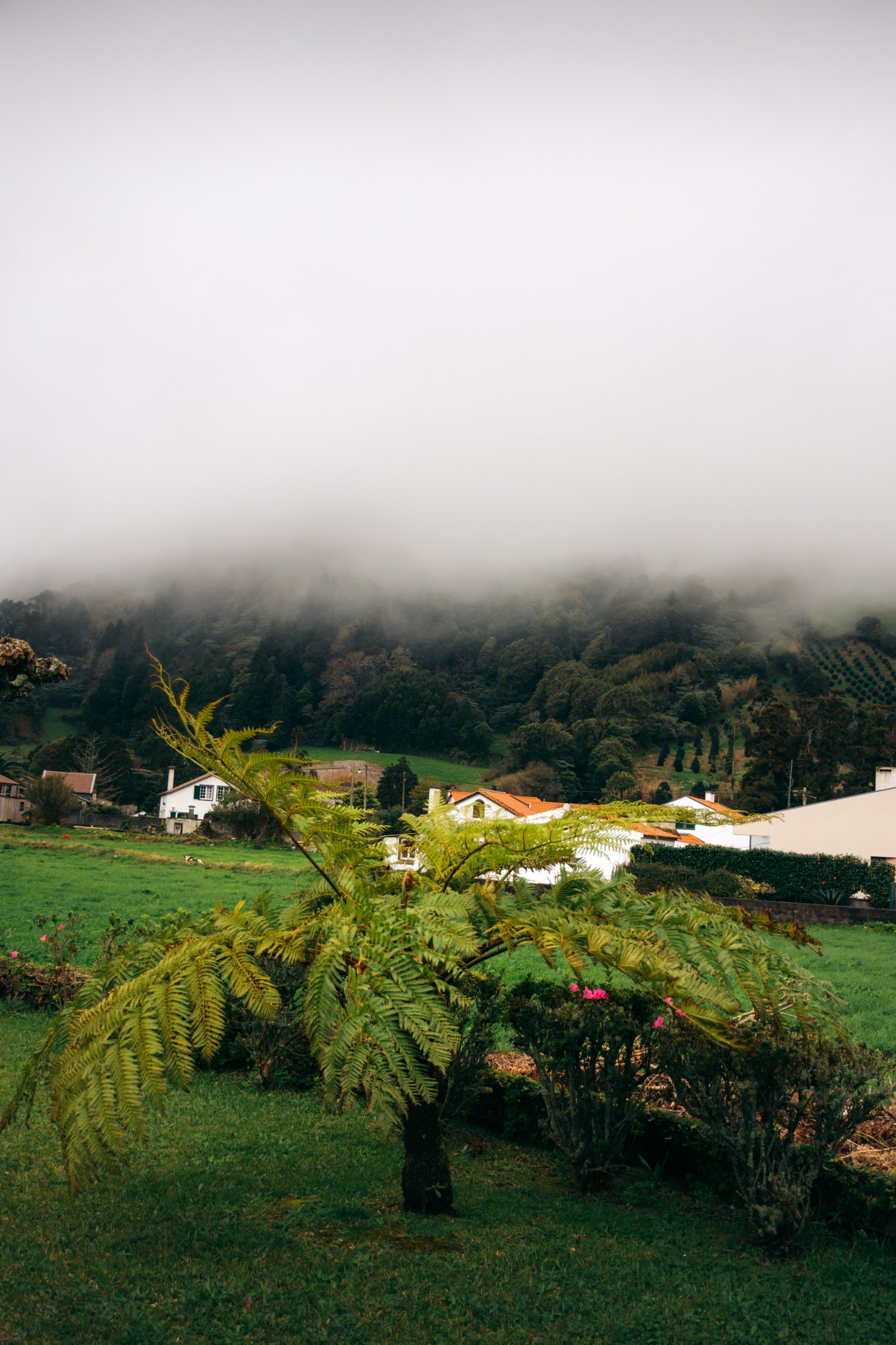 Azores — Azores